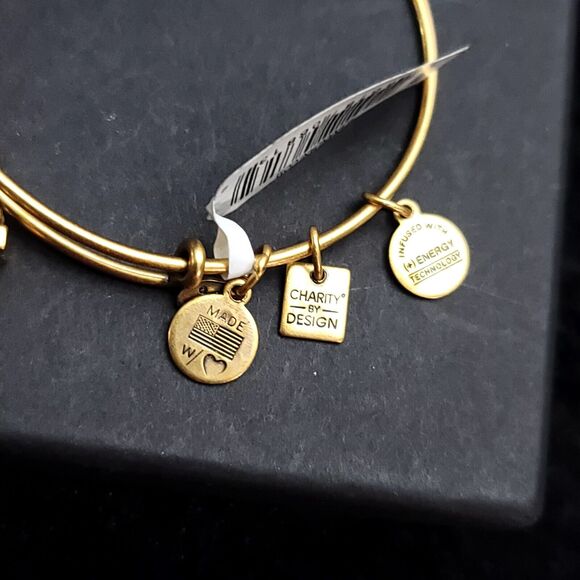 Alex And Ani Gift Box Charm Bracelet - Picture 3 of 7